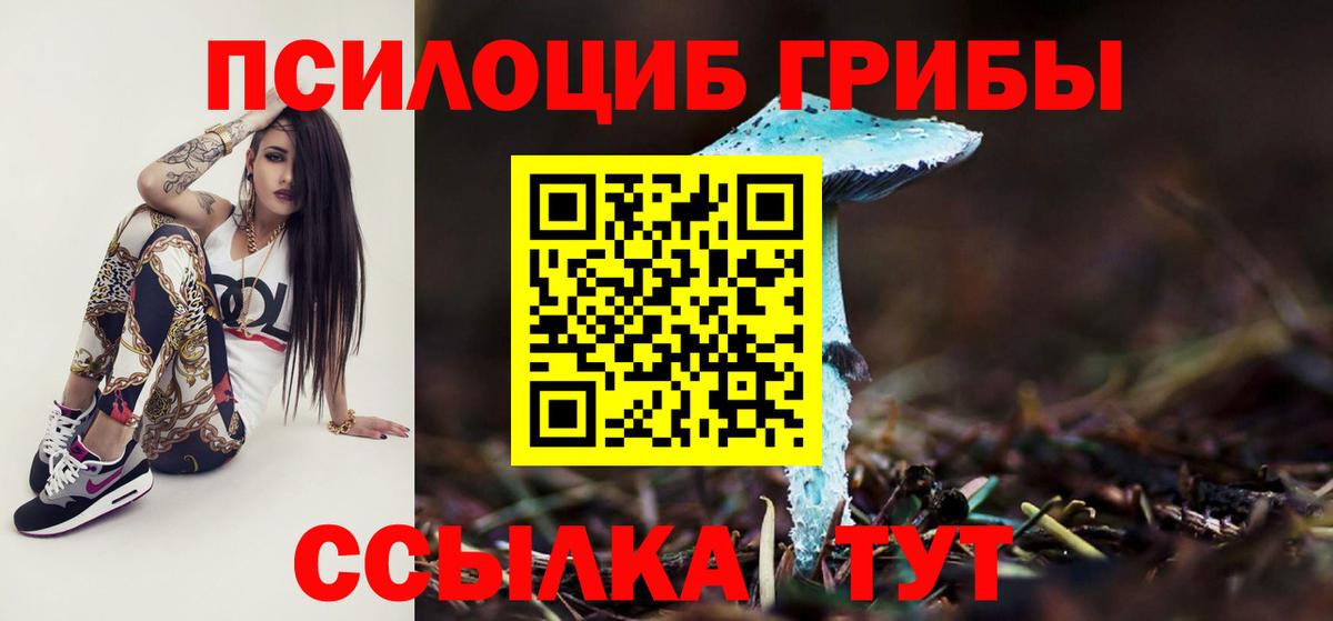 Галлюциногенные грибы GOLDEN TEACHER  Вход с VPN  Солнечногорск 